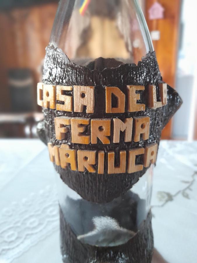 Casa De La Ferma Mariuca Berbesti Exterior foto
