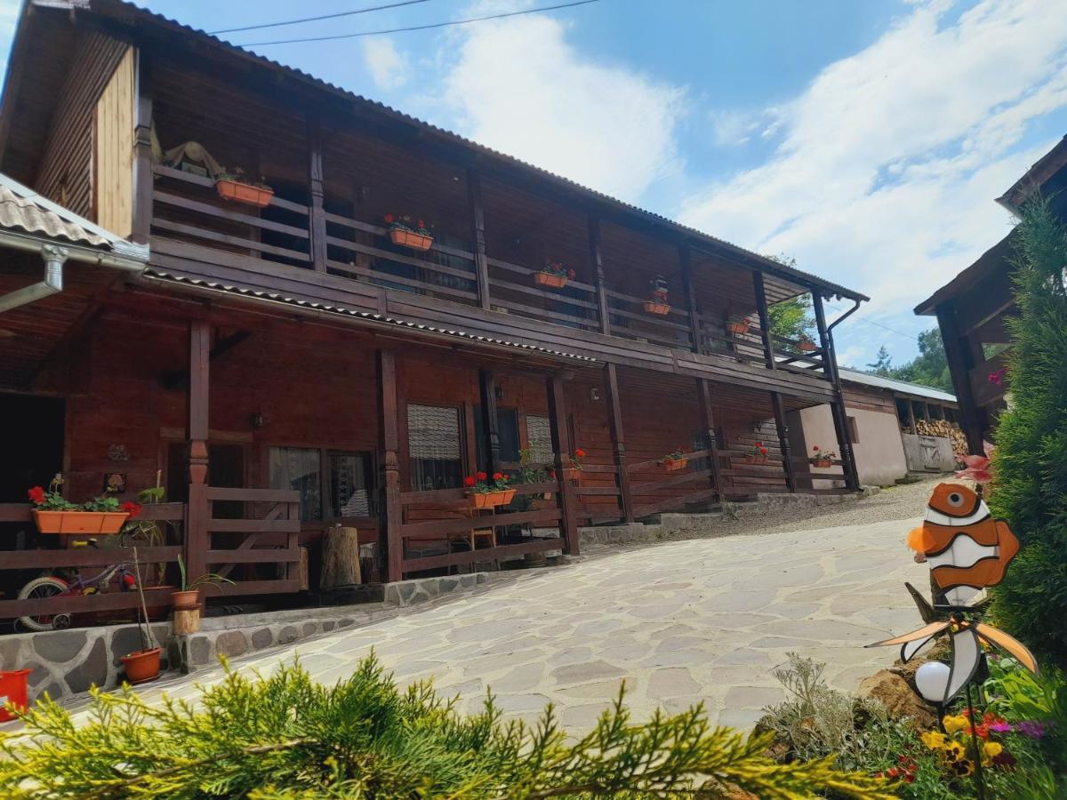 Casa De La Ferma Mariuca Berbesti Exterior foto